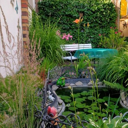 Spreewald Ferienwohnung Wollgast Lübben エクステリア 写真