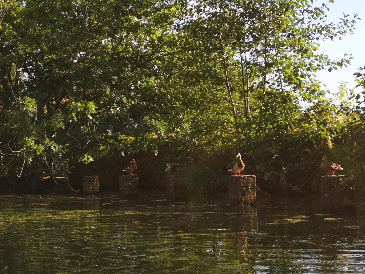 Spreewald Ferienwohnung Wollgast Lübben エクステリア 写真