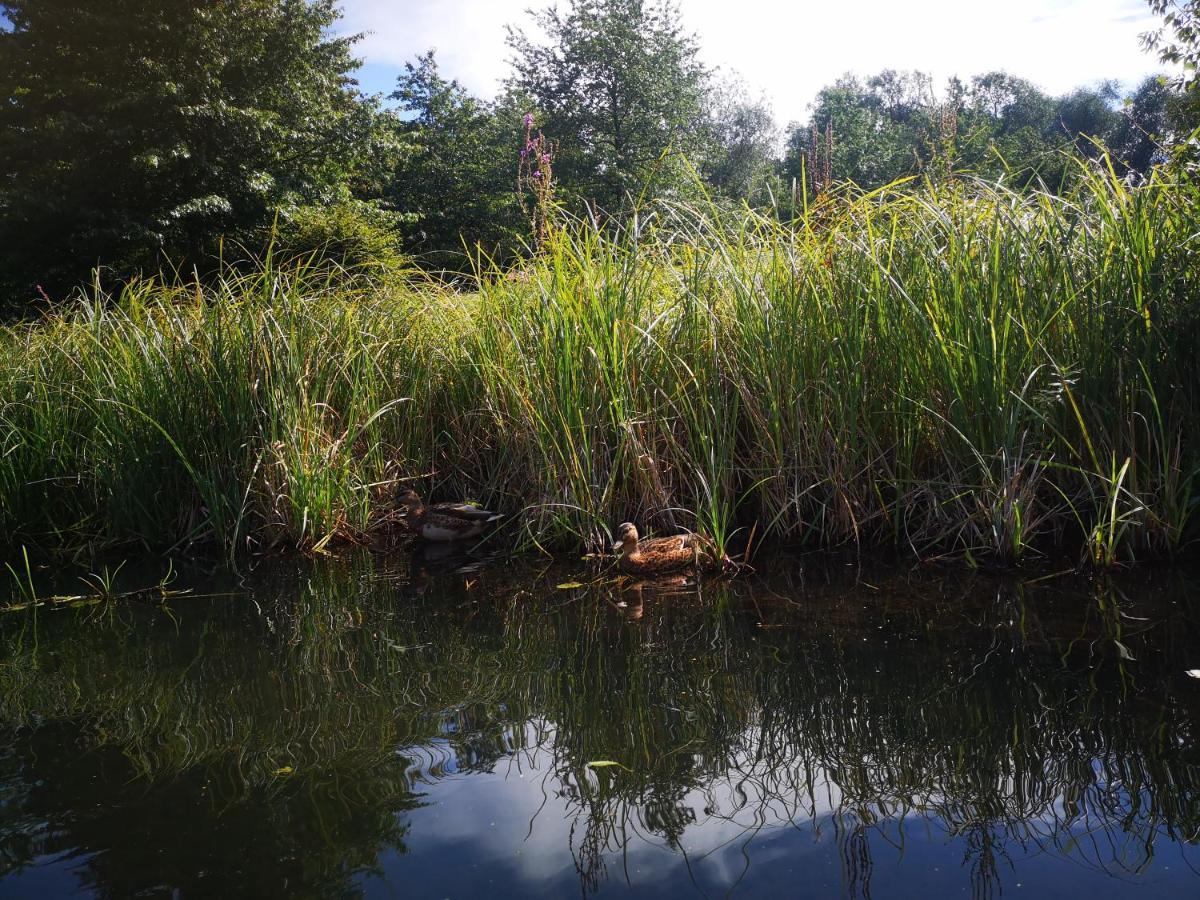 Spreewald Ferienwohnung Wollgast Lübben エクステリア 写真