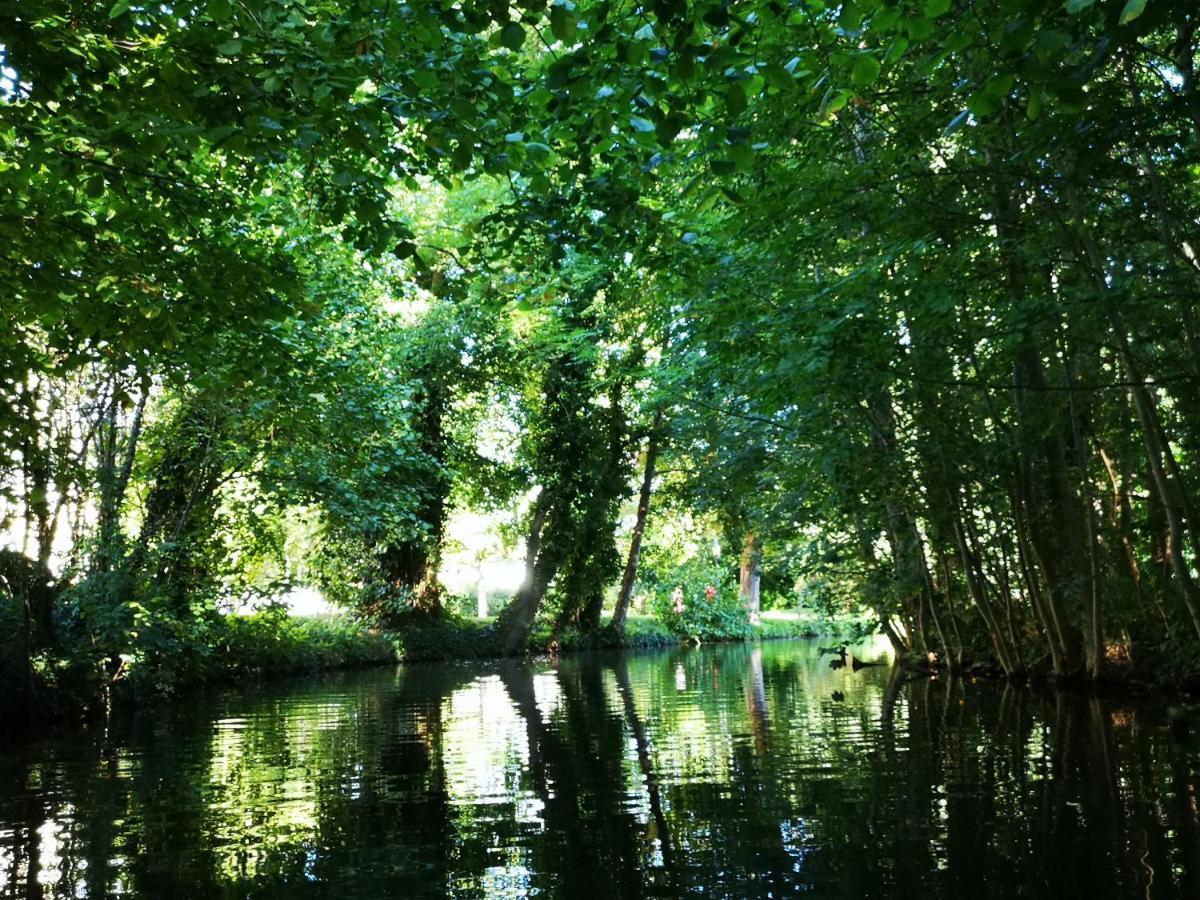 Spreewald Ferienwohnung Wollgast Lübben エクステリア 写真