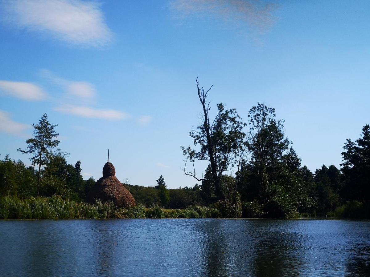 Spreewald Ferienwohnung Wollgast Lübben エクステリア 写真