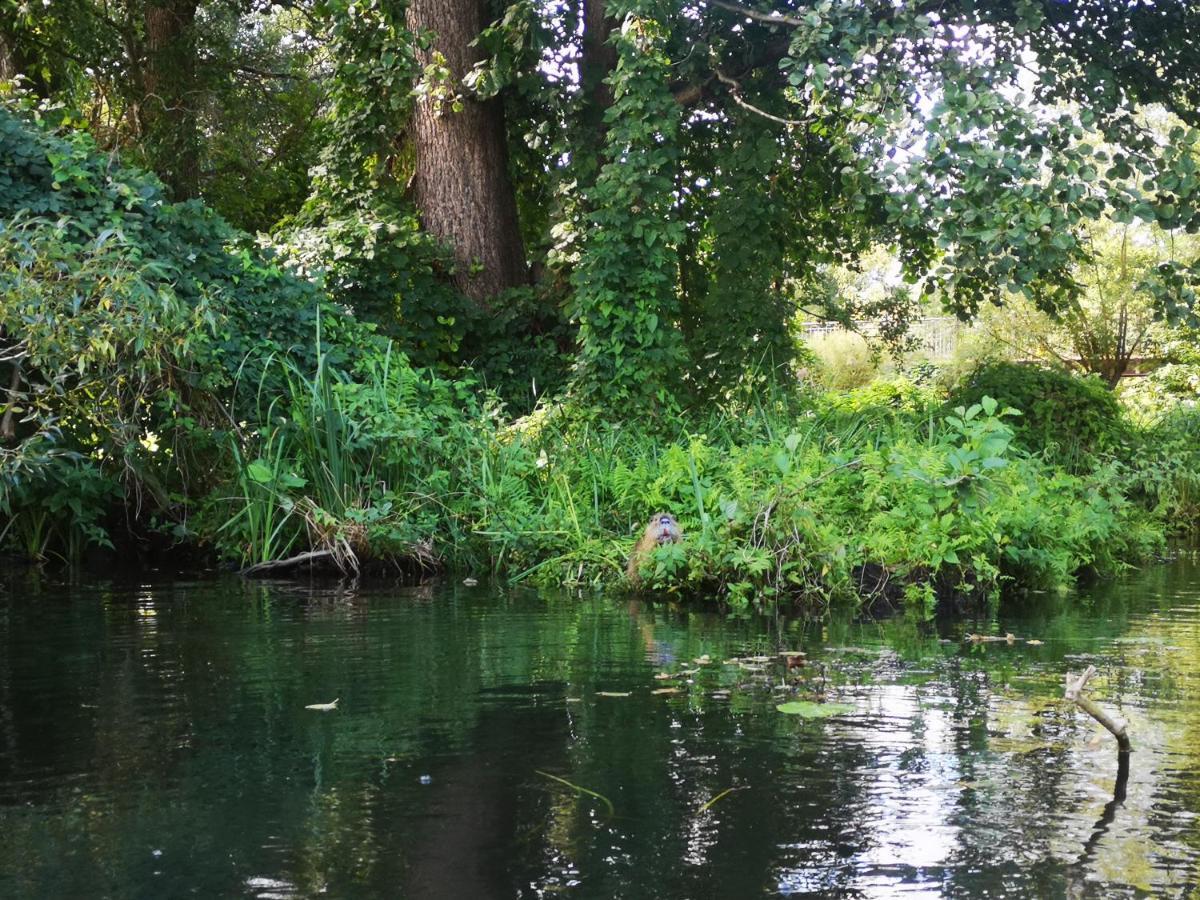 Spreewald Ferienwohnung Wollgast Lübben エクステリア 写真