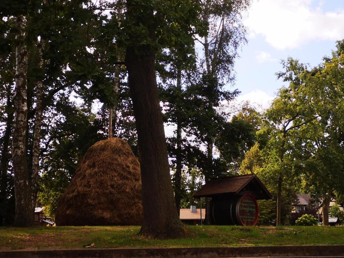 Spreewald Ferienwohnung Wollgast Lübben エクステリア 写真