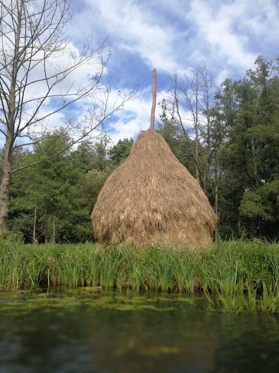 Spreewald Ferienwohnung Wollgast Lübben 部屋 写真