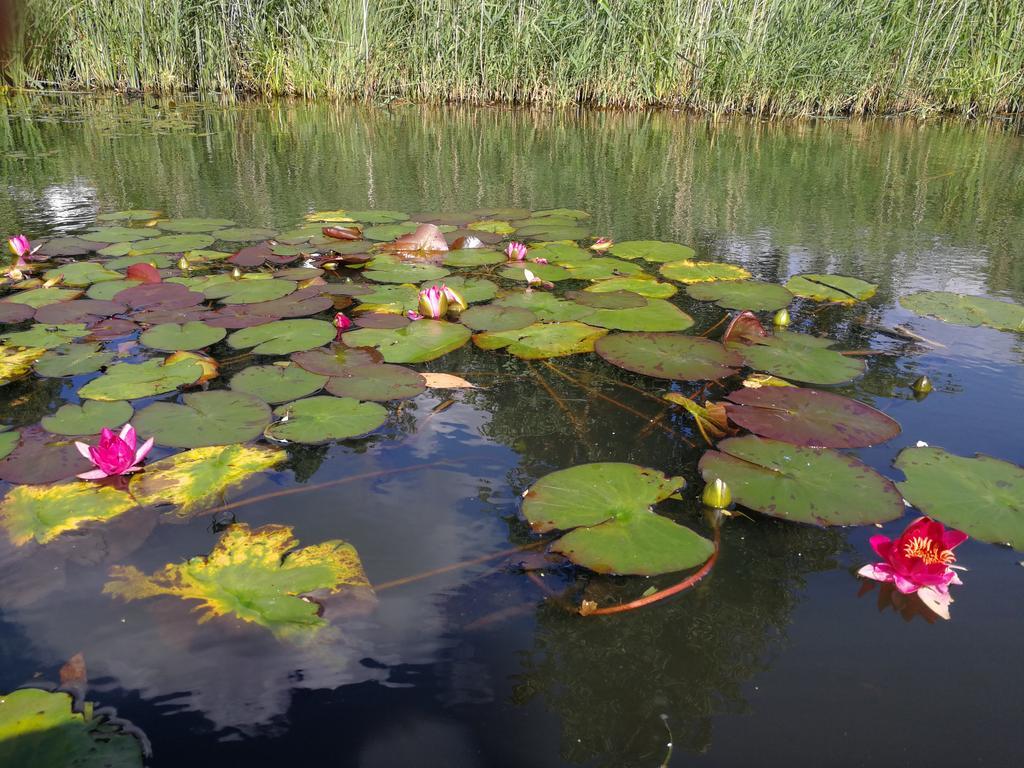 Spreewald Ferienwohnung Wollgast Lübben 部屋 写真